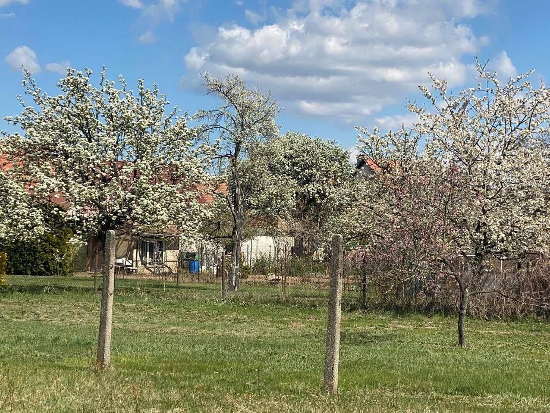 Prazdninovy Dum Sorada Villa Rohatec Buitenkant foto